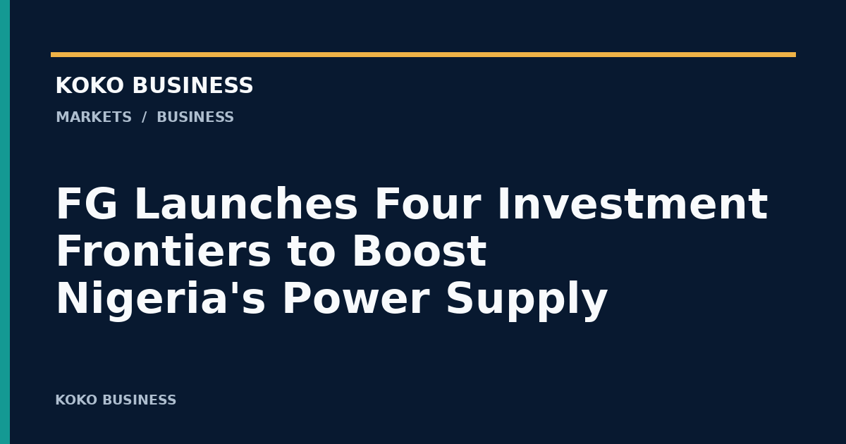 KOKO Business: FG Launches Four Investment Frontiers to Boost Nigeria's Power Supply