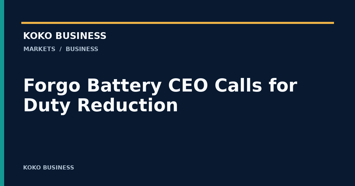 KOKO Business: Forgo Battery CEO Calls for Duty Reduction