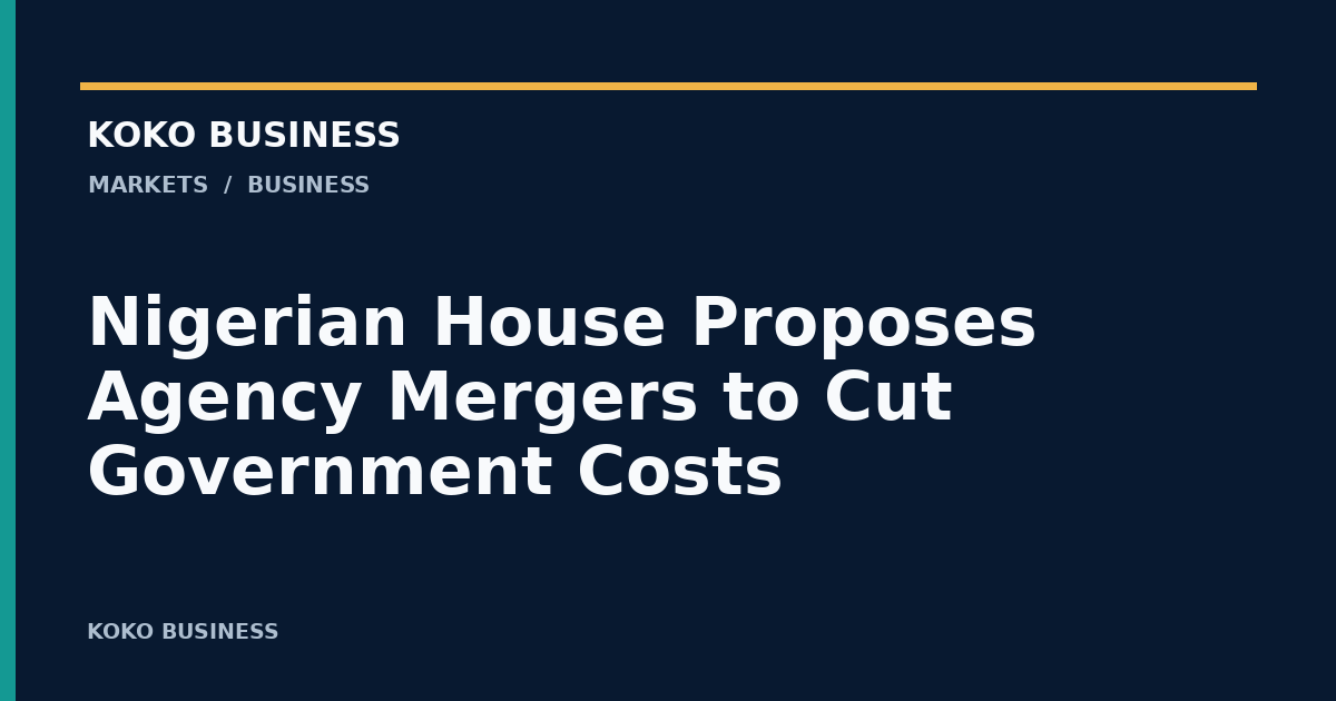 KOKO Business: Nigerian House Proposes Agency Mergers to Cut Government Costs
