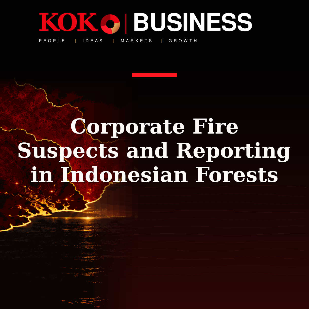 KOKO Business | People, Ideas, Markets, Growth | Corporate Fire Suspects and Reporting in Indonesian Forests