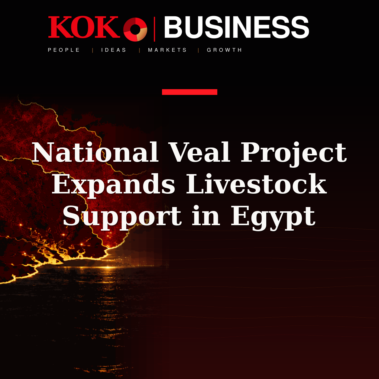 KOKO Business | People, Ideas, Markets, Growth | National Veal Project Expands Livestock Support in Egypt